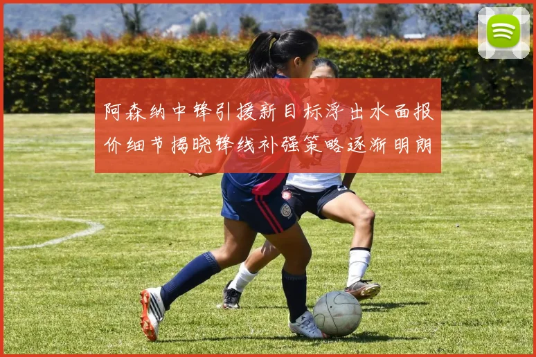 阿森纳中锋引援新目标浮出水面报价细节揭晓锋线补强策略逐渐明朗