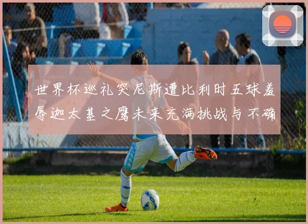 世界杯巡礼突尼斯遭比利时五球羞辱迦太基之鹰未来充满挑战与不确定性